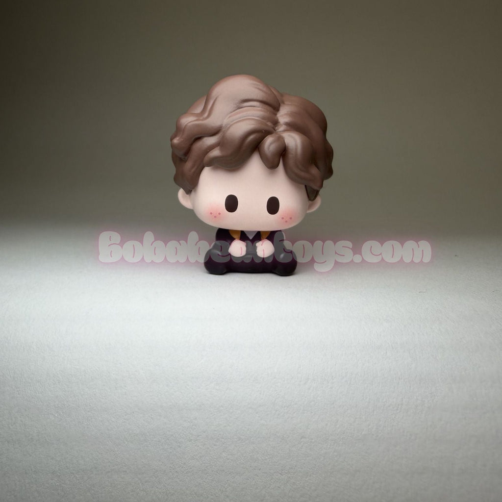 Fantastic Beasts Newt's Suitcase Blind Bag Beans by Hey Dolls