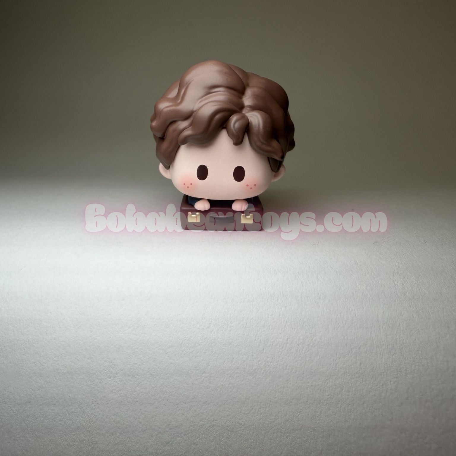 Fantastic Beasts Newt's Suitcase Blind Bag Beans by Hey Dolls